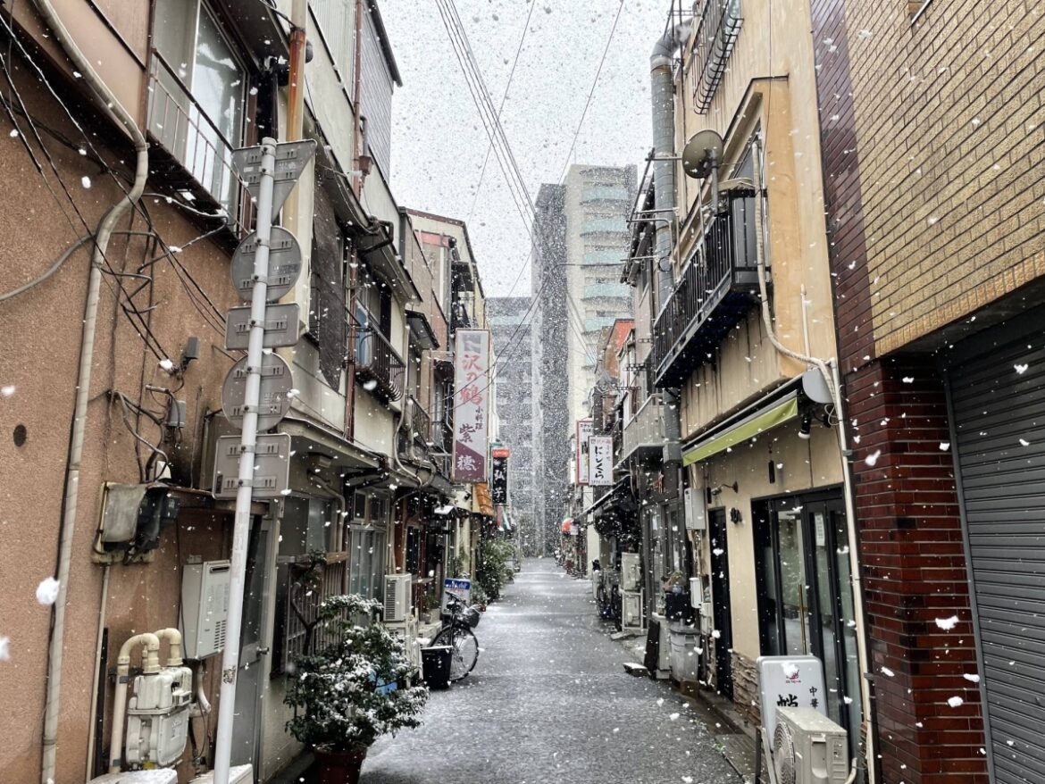 Snowfall in Tokyo as storm sweeps country