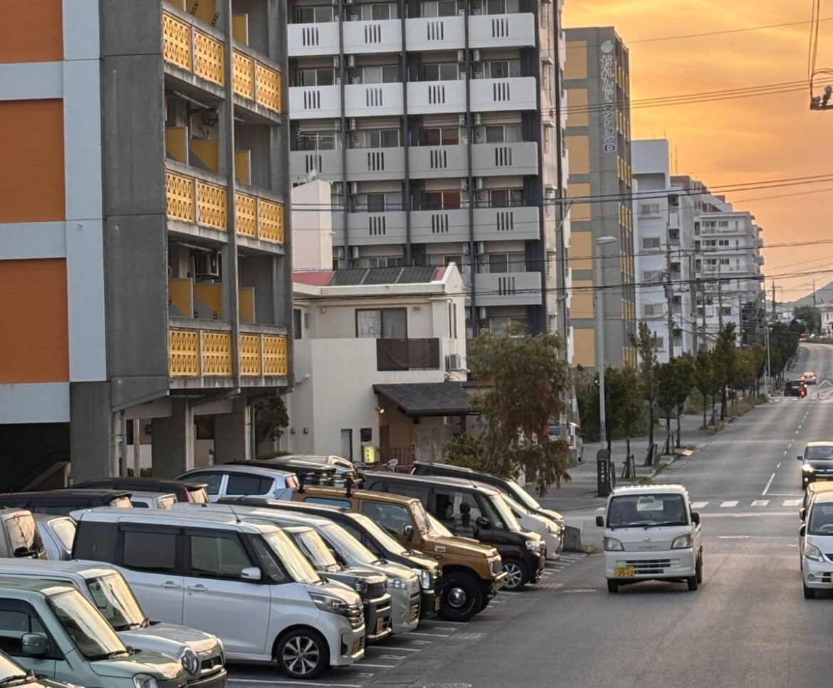 Rents soar in northern Okinawa ahead of Junglia theme park opening Rents soar in northern Okinawa ahead of Junglia theme park opening