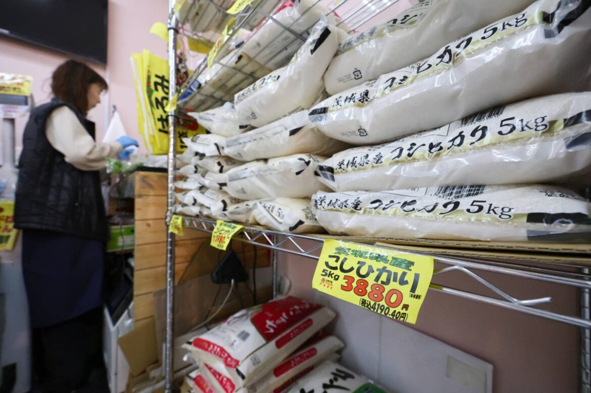 Why are rice prices still high in Japan?