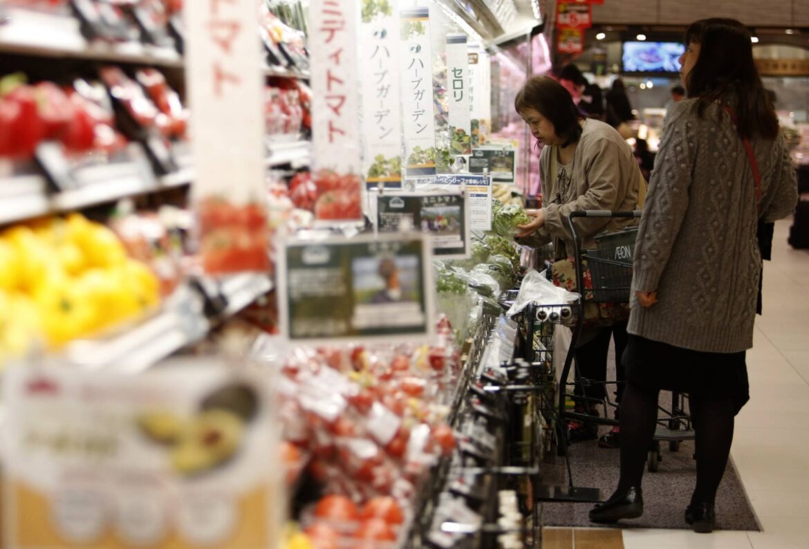 Economists debate consumption-tax cut as Japanese politicians warm to the idea Economists debate consumption-tax cut as Japanese politicians warm to the idea
