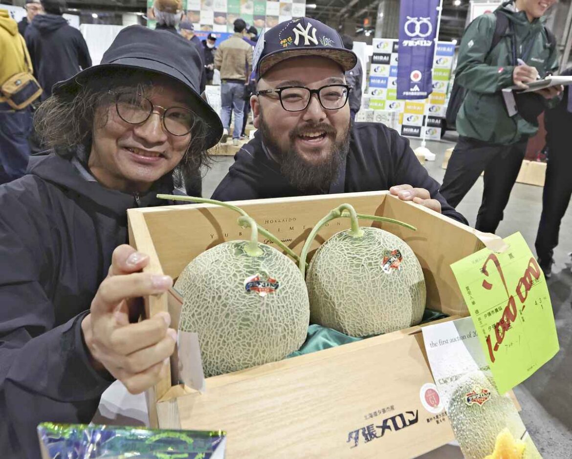Pair of Yubari Melons Sell for ¥1 Mil. at Sapporo Auction; ‘King of Hokkaido’s Summer Fruit’ to Be Displayed in Otaru Pair of Yubari Melons Sell for ¥1 Mil. at Sapporo Auction; ‘King of Hokkaido’s Summer Fruit’ to Be Displayed in Otaru