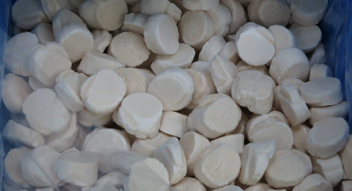 Japan’s Hokkaido Okhotsk scallop season to begin amid rising prices, export concerns Japan's Hokkaido Okhotsk scallop season to begin amid rising prices, export concerns