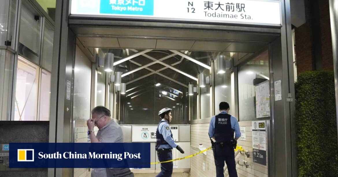 Wave of knife attacks in Japan sparks fears of copycat cases