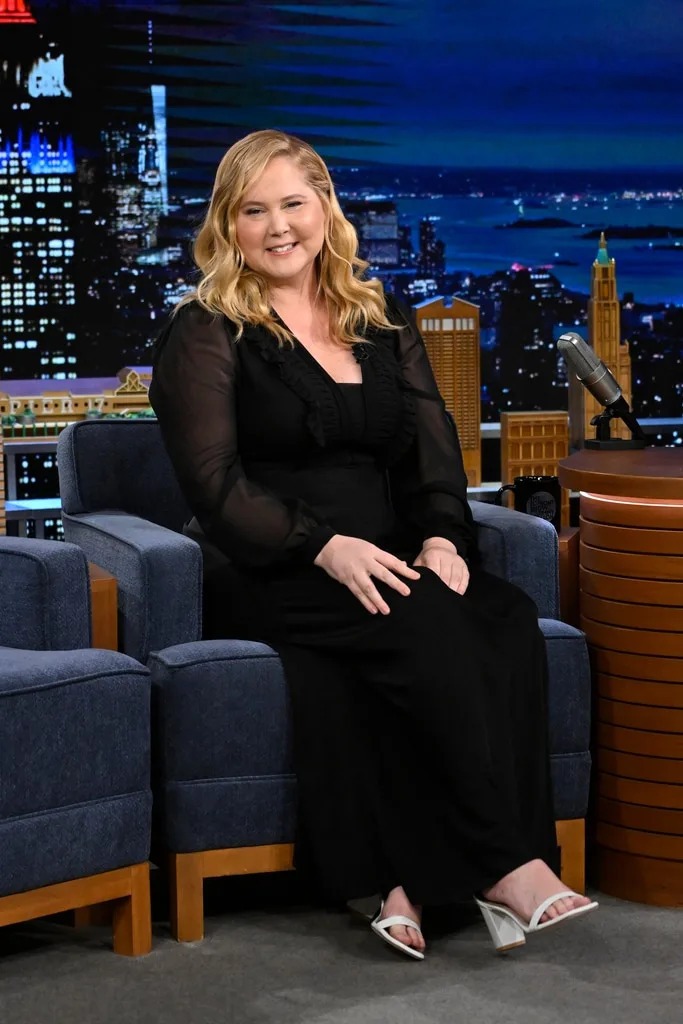 <p style="font-weight: 400;"><strong>Amy Schumer&rsquo;s Cushing Syndrome</strong></p>