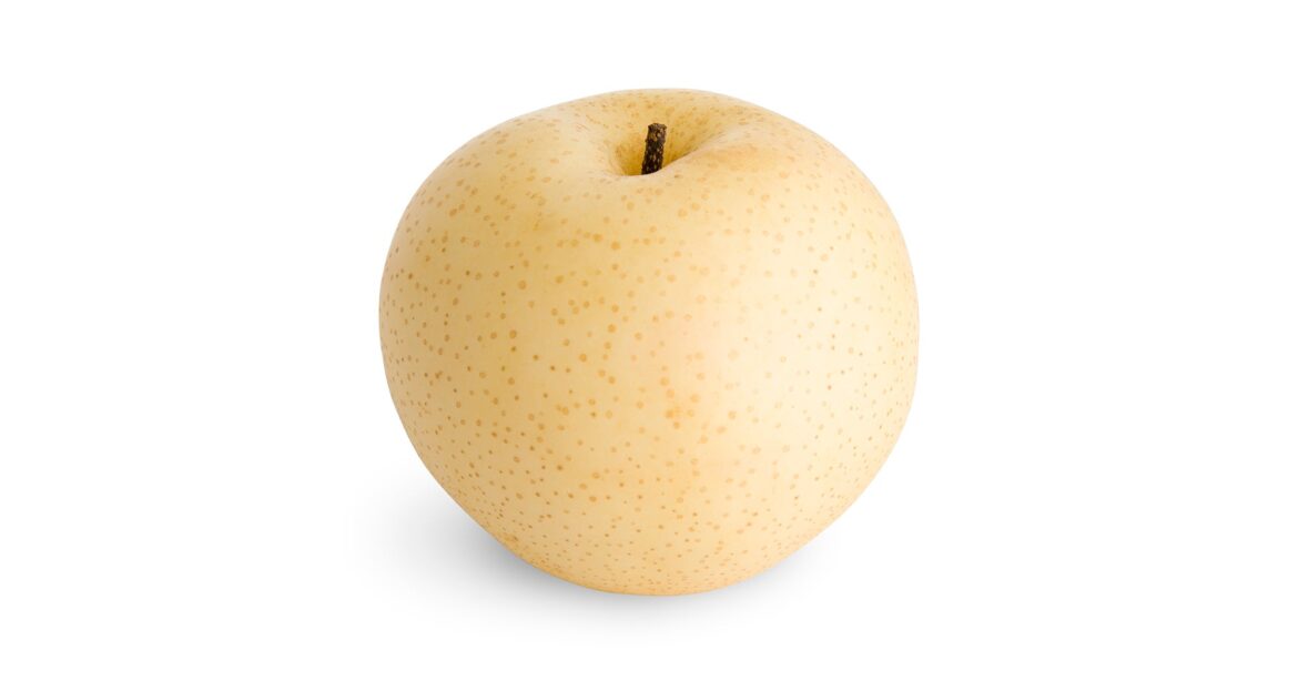 Tokyo, Japan Travel Guide – Solo Trip Budget Tokyo, Japan Travel Guide – Solo Trip Budget