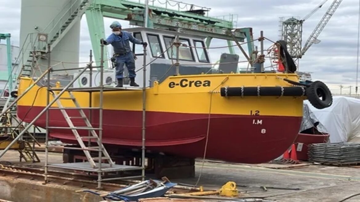 Megalodon’s secret menu: Biggest-ever sea predator ate more than just whales