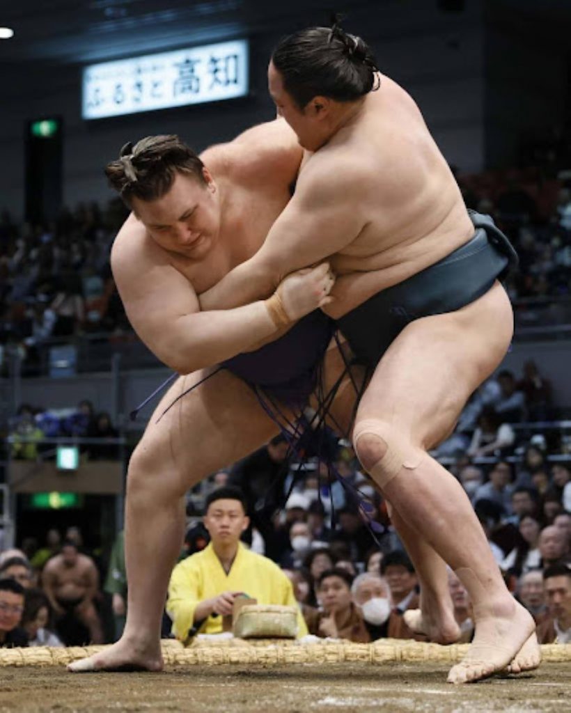 sumo