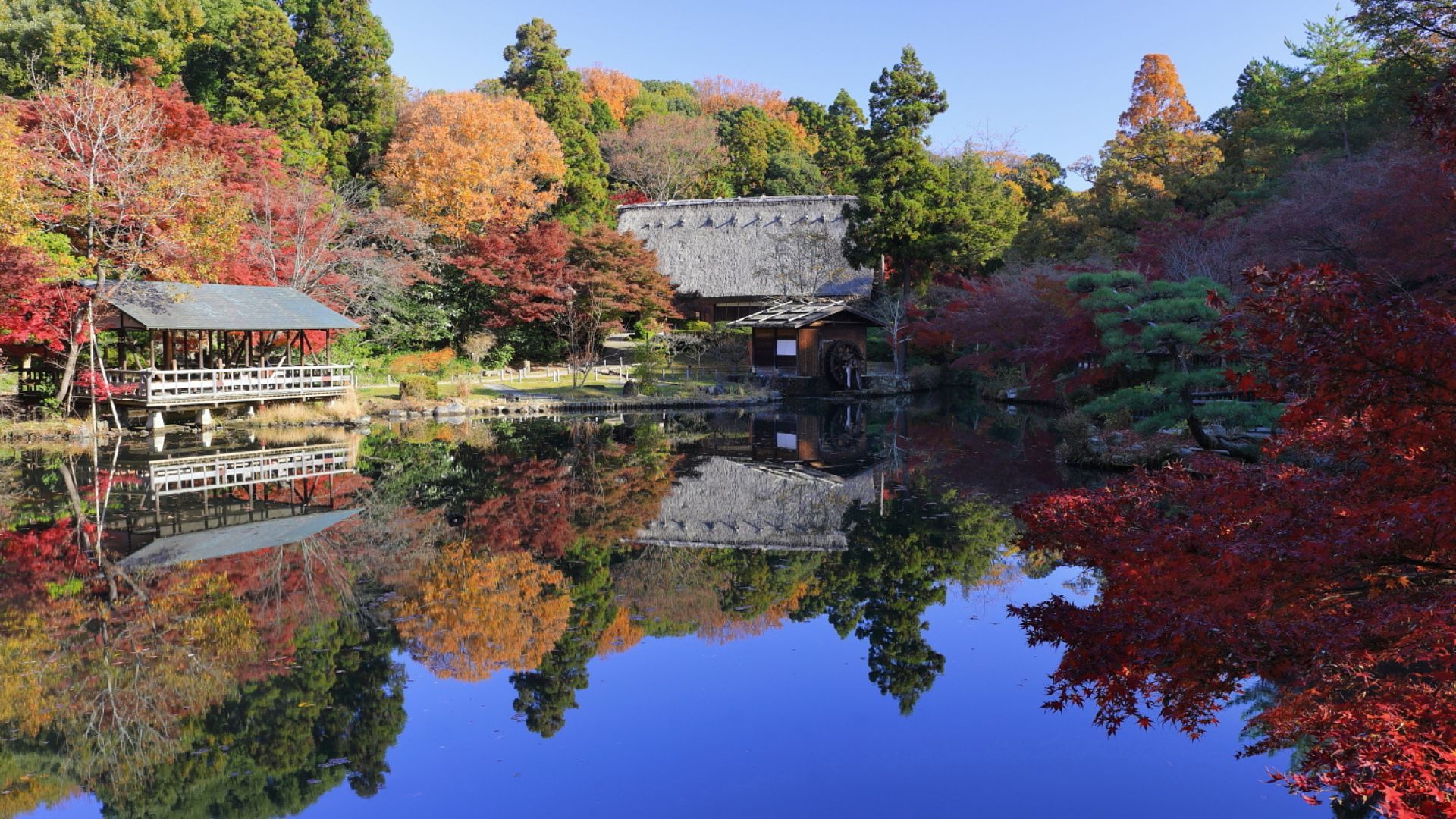 Things to do in Nagoya