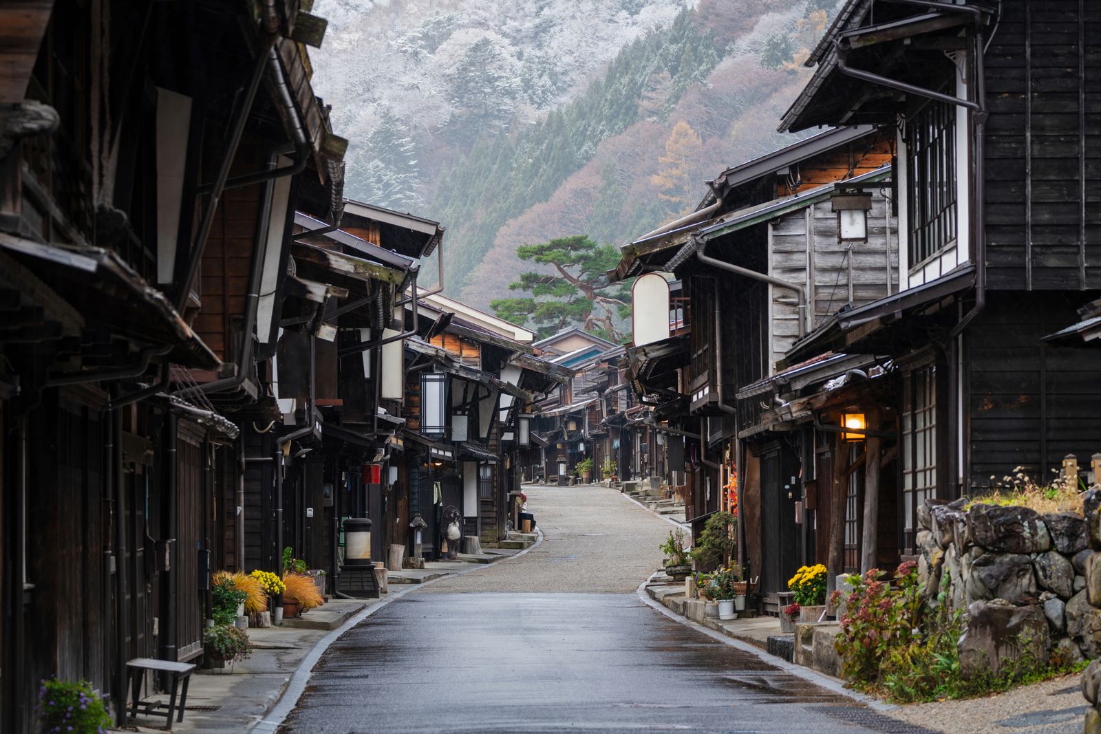 Image may contain City Road Street Urban Alley Nature Outdoors Countryside Plant Person Architecture and Building