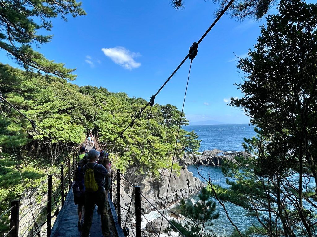 An overwater suspension bridge.
