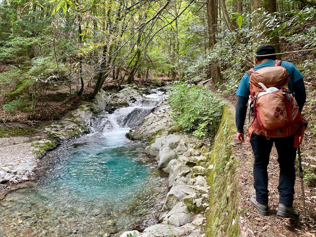 Following a trail to a giant cedar tree above Joren Falls.