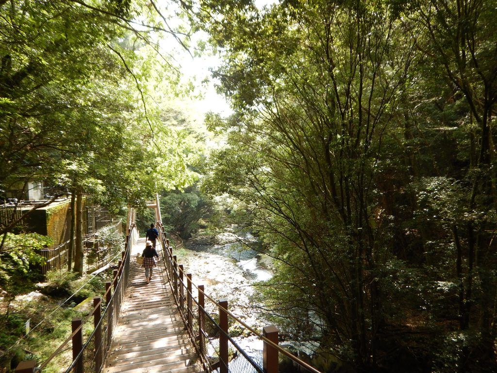 Idyllic forest trails. Courtesy of Walk Japan