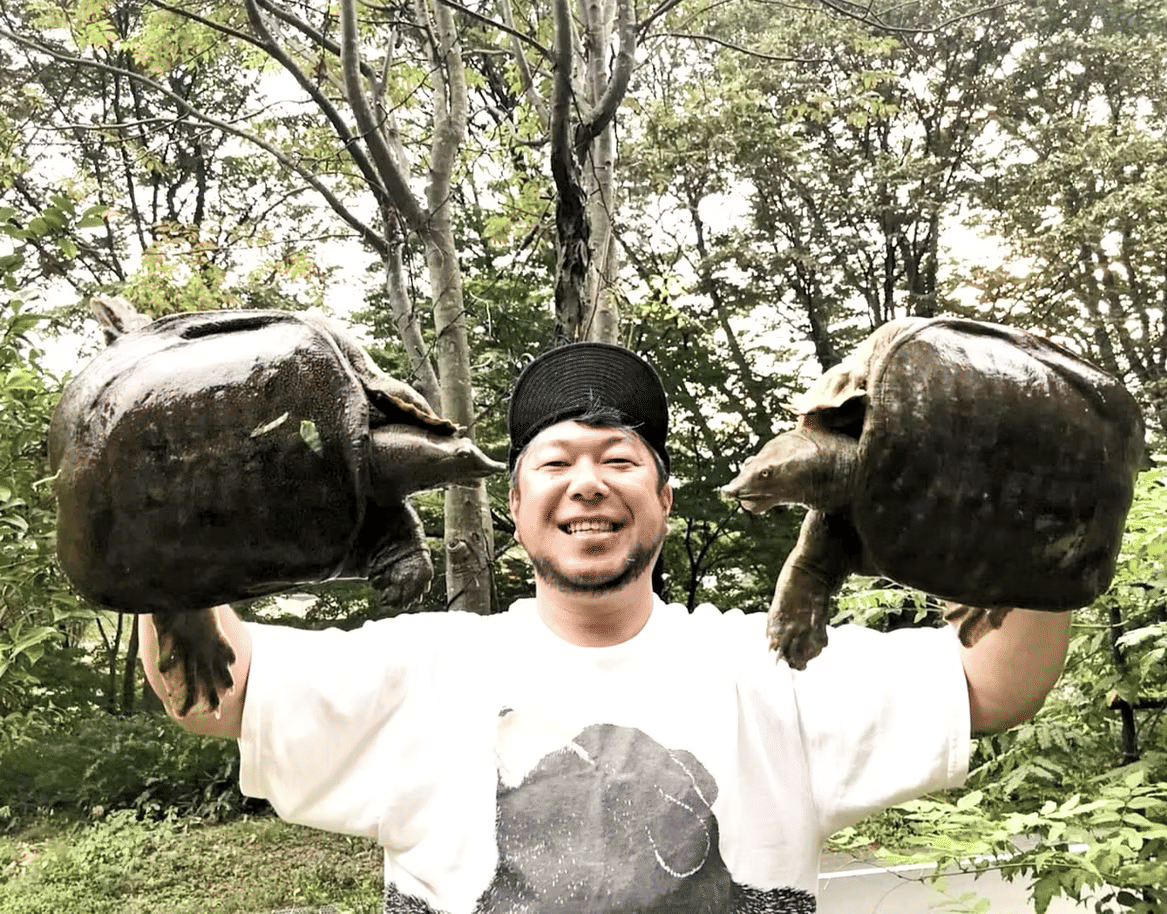 Catching wild soft-shelled turtles. Courtesy of Tantokuwassai