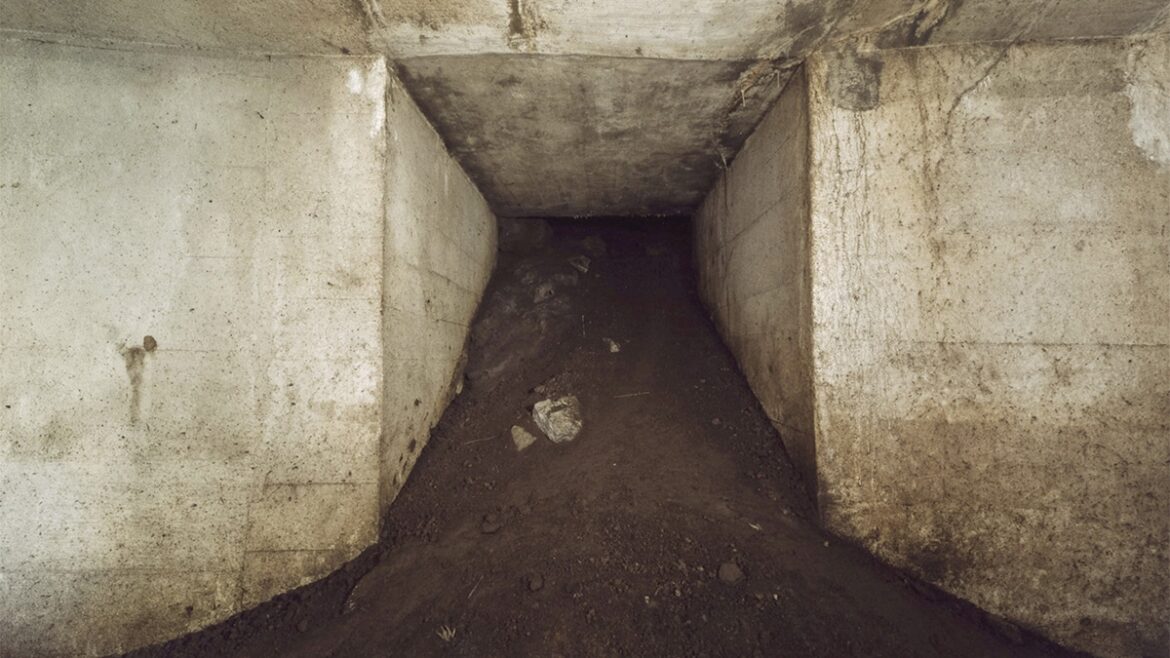 Japan doubles bomb shelter capacity, prepares for the unthinkable – Firstpost