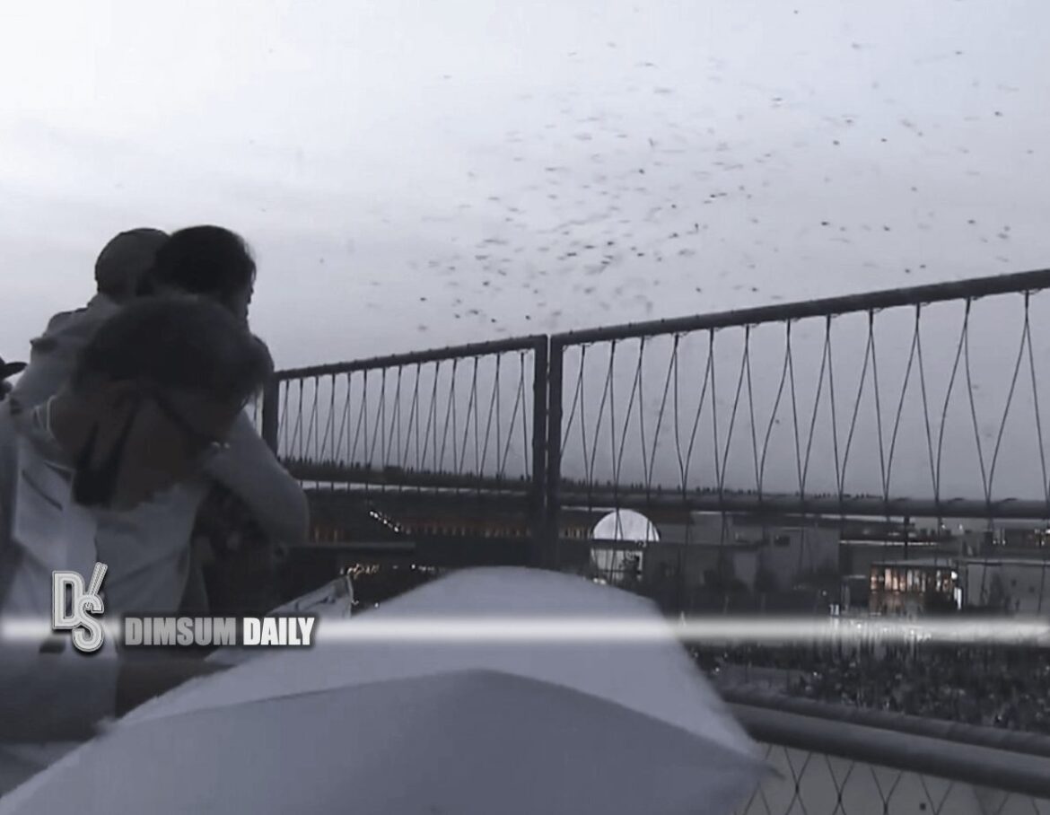 Osaka-Kansai Expo grapples with insect infestation and National Day event cancellation