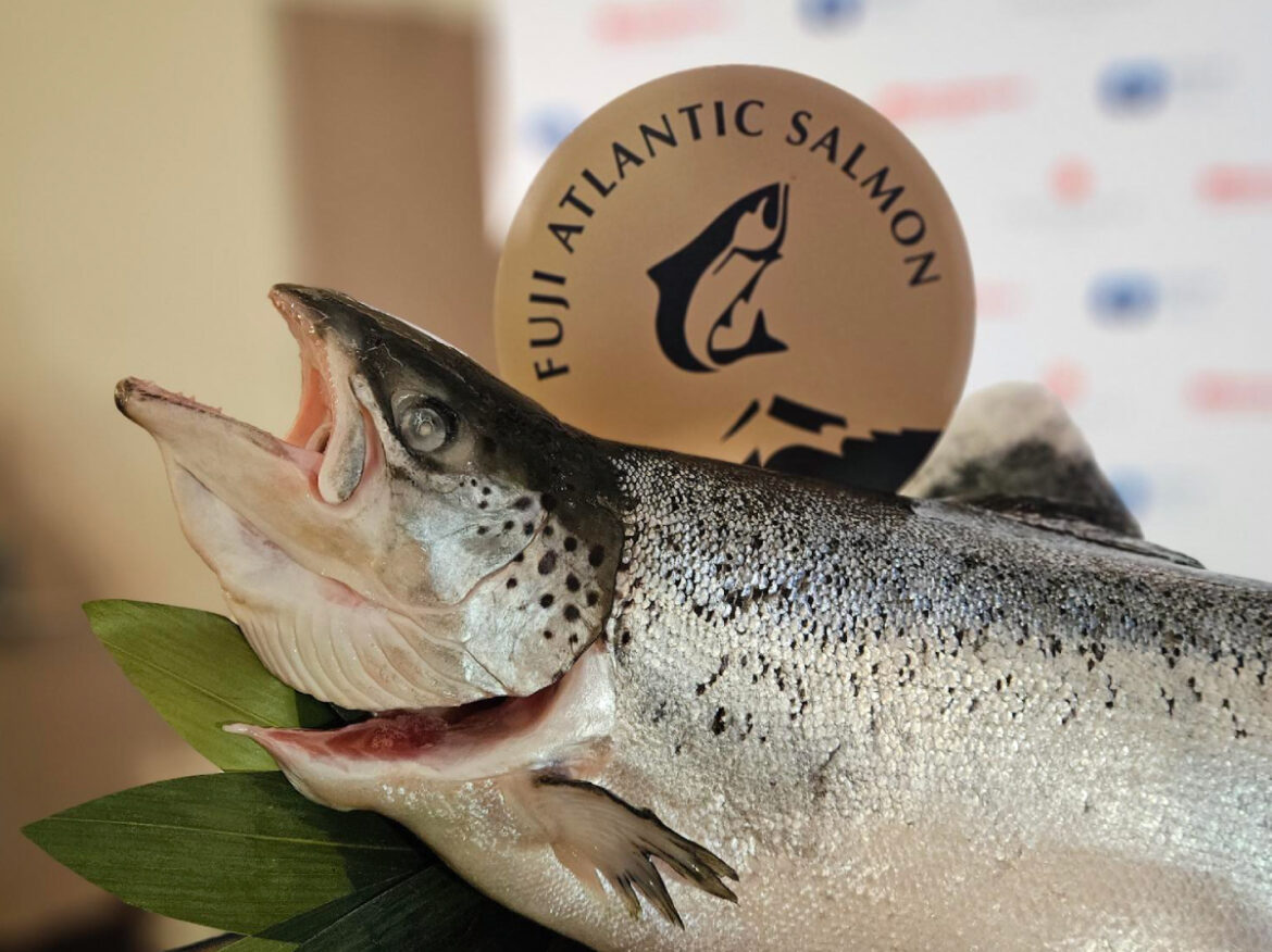 Fish Farmer – News – Mount Fuji farmer Proximar enters 2026 ‘full of confidence’ Fish Farmer - News - Proximar’s Mount Fuji salmon expanding into wider Asia
