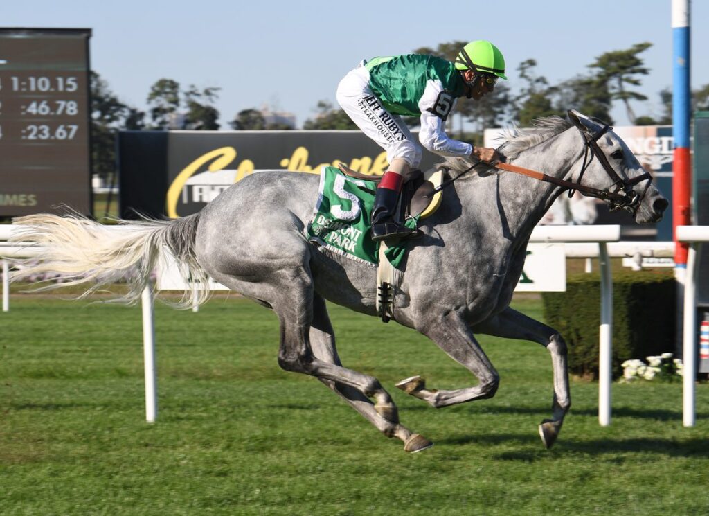 Promising McKinzie Colt Makes 3YO Debut at Tokyo Promising McKinzie Colt Makes 3YO Debut at Tokyo