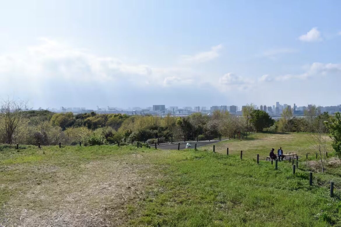 Tokyo Bay’s Hidden Hiking Oasis Built on a Landfill XXJ4GHDGAFK2JLLIS322PVXM24-min