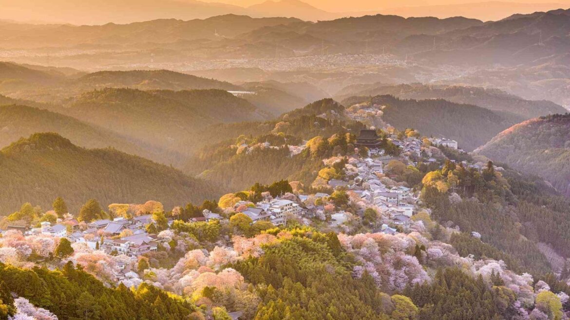 Nara, Japan, Was Just Named The City With The Most Hidden Gems