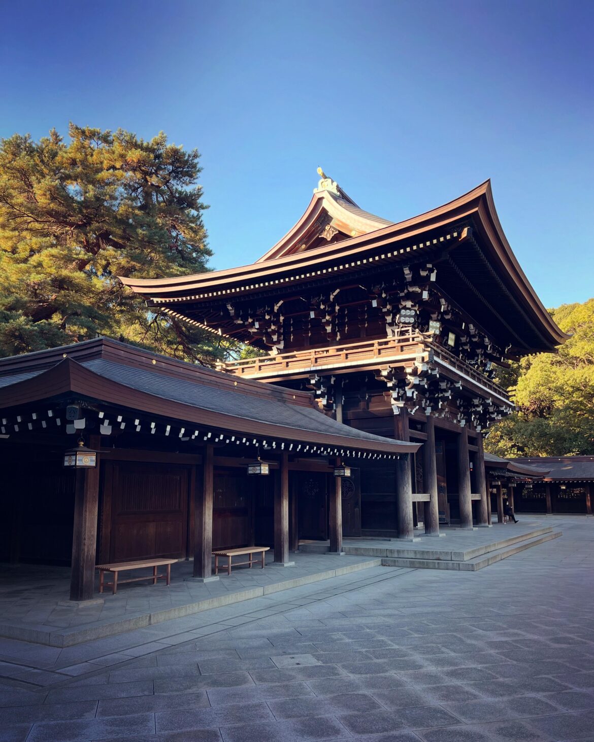 Meiji Jingu, Tokyo