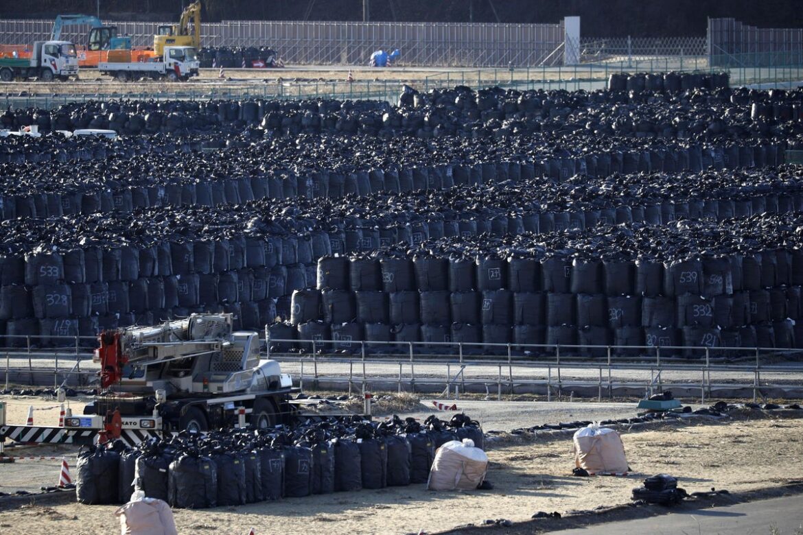 Japanese PM uses radioactive Fukushima soil in his garden to prove a point