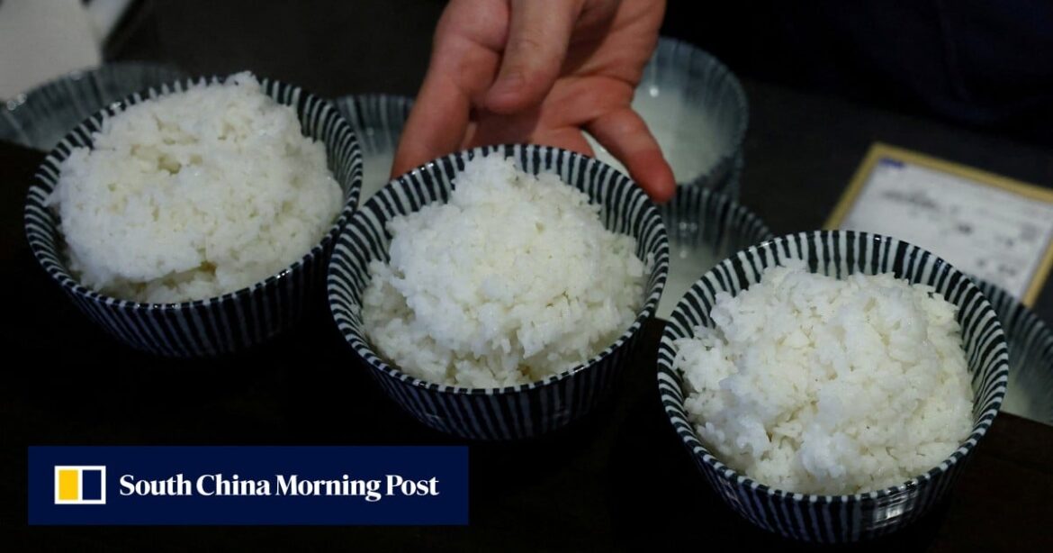 Japan farm minister’s rice boast stirs anger: ‘I just got scolded by my wife’
