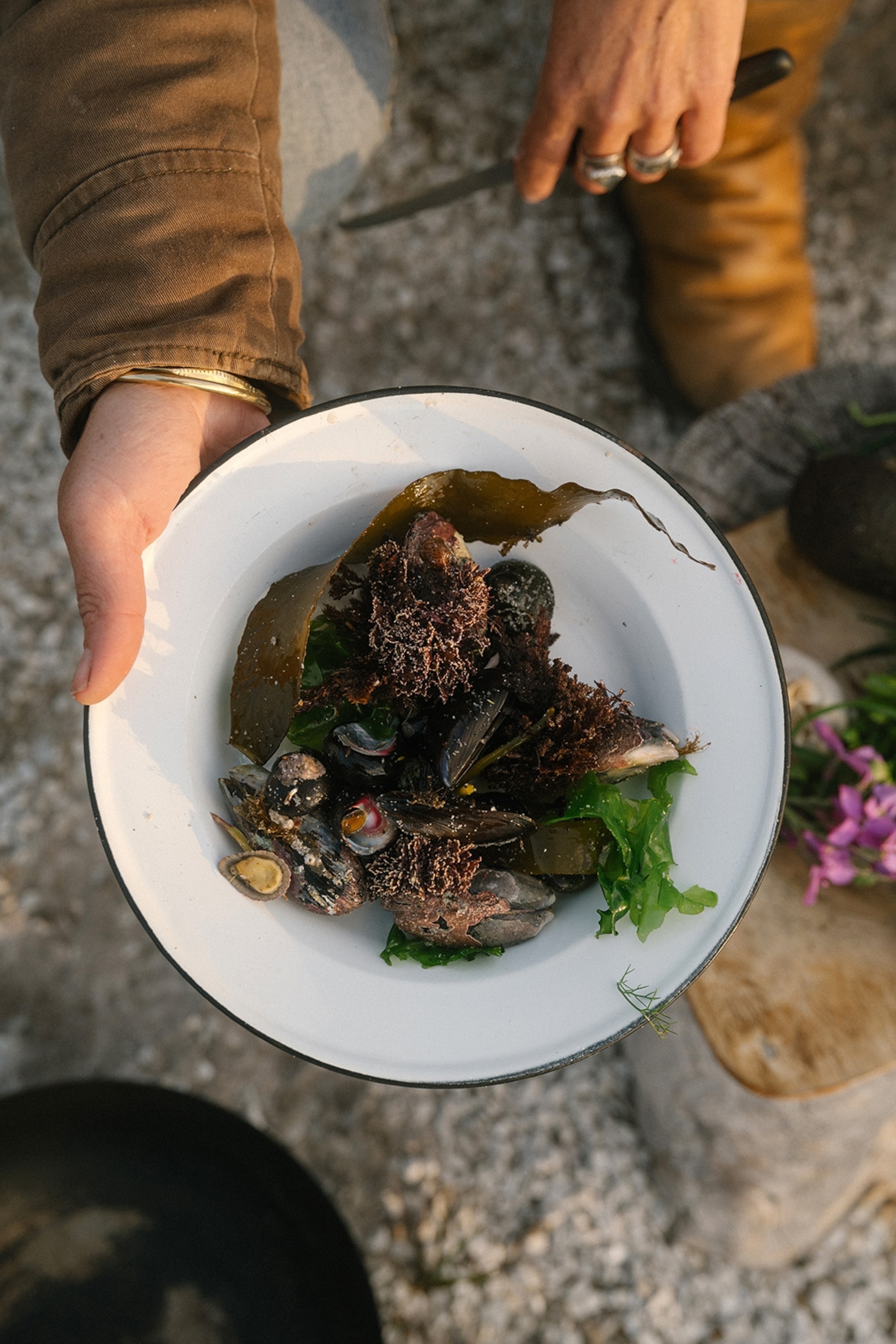 Foraging finds in South Africa