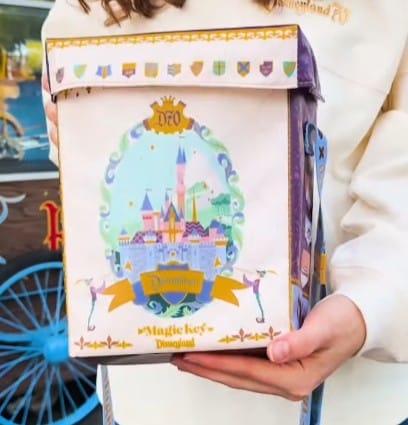 A person holds a colorful Disneyland-themed box and a Magic Key Insulated Cooler Bag with a castle illustration.