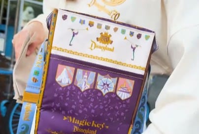 A person holds a Disneyland Magic Key Insulated Cooler Bag decorated with park icons and colorful designs.