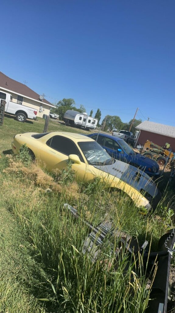 Spotted while doing pest control:(