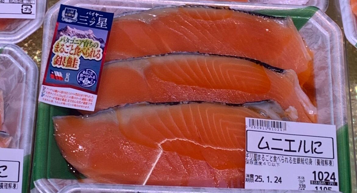 Chilean H&G coho shipments to Japan fall 20% for 2024–25 season Chilean H&G coho shipments to Japan fall 20% for 2024–25 season