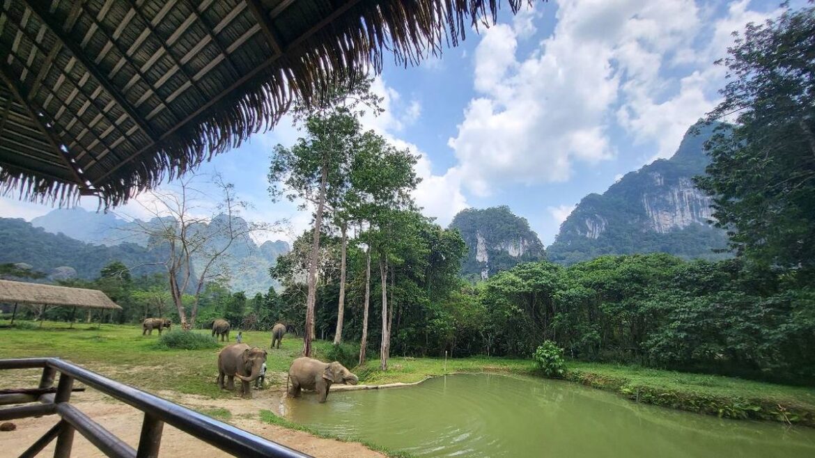 Inside Travel Launches Webinars to Build Agent Confidence in Selling Asian Destinations