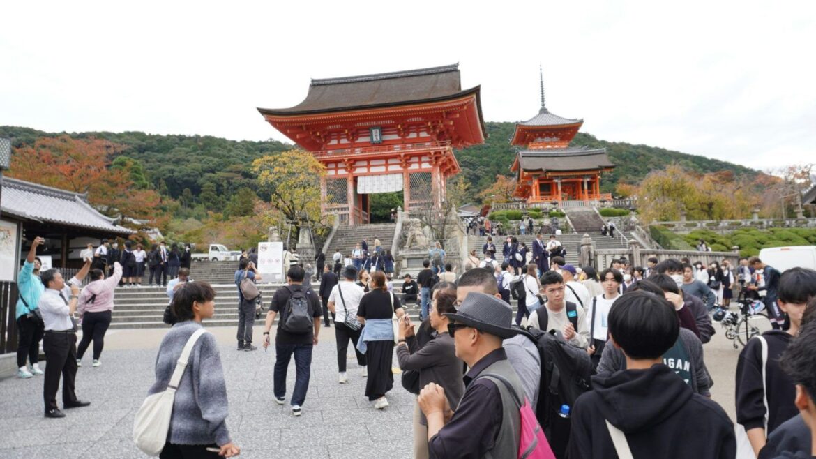 Japan Plans Pre-Arrival Screening For Visa-Free Travellers By 2028
