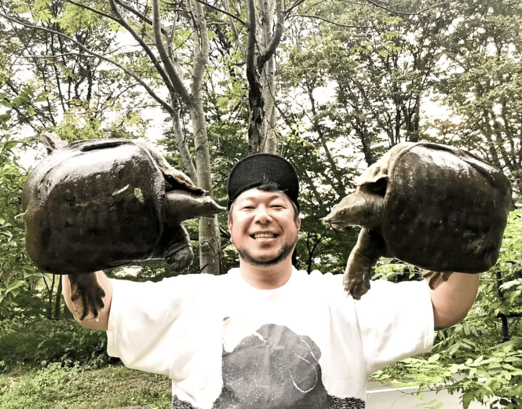 Catching wild soft-shelled turtles. Courtesy of Tantokuwassai
