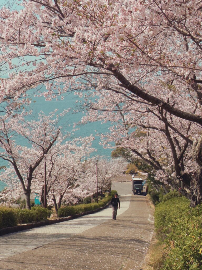 須磨浦公園 - Sumaura Park, Kōbe