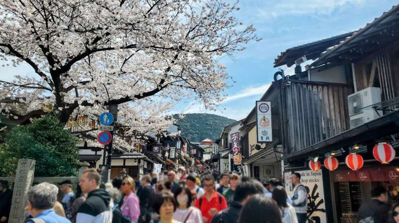 Kyoto conundrum: More hotels than households exist in ancient capital