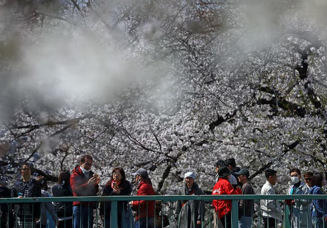 LDP group to seek end to tax exemption for foreign visitors - Ảnh 1.