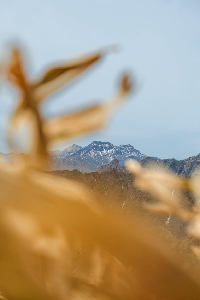 My. Iyo-Fuji in Kochi