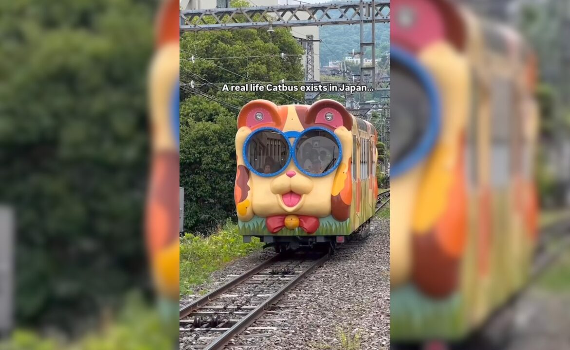 Travel Vlogger Offers Glimpses Of Japan’s Ghibli Village, Here’s How To Get There Travel Vlogger Offers Glimpses Of Japan's Ghibli Village, Here's How To Get There