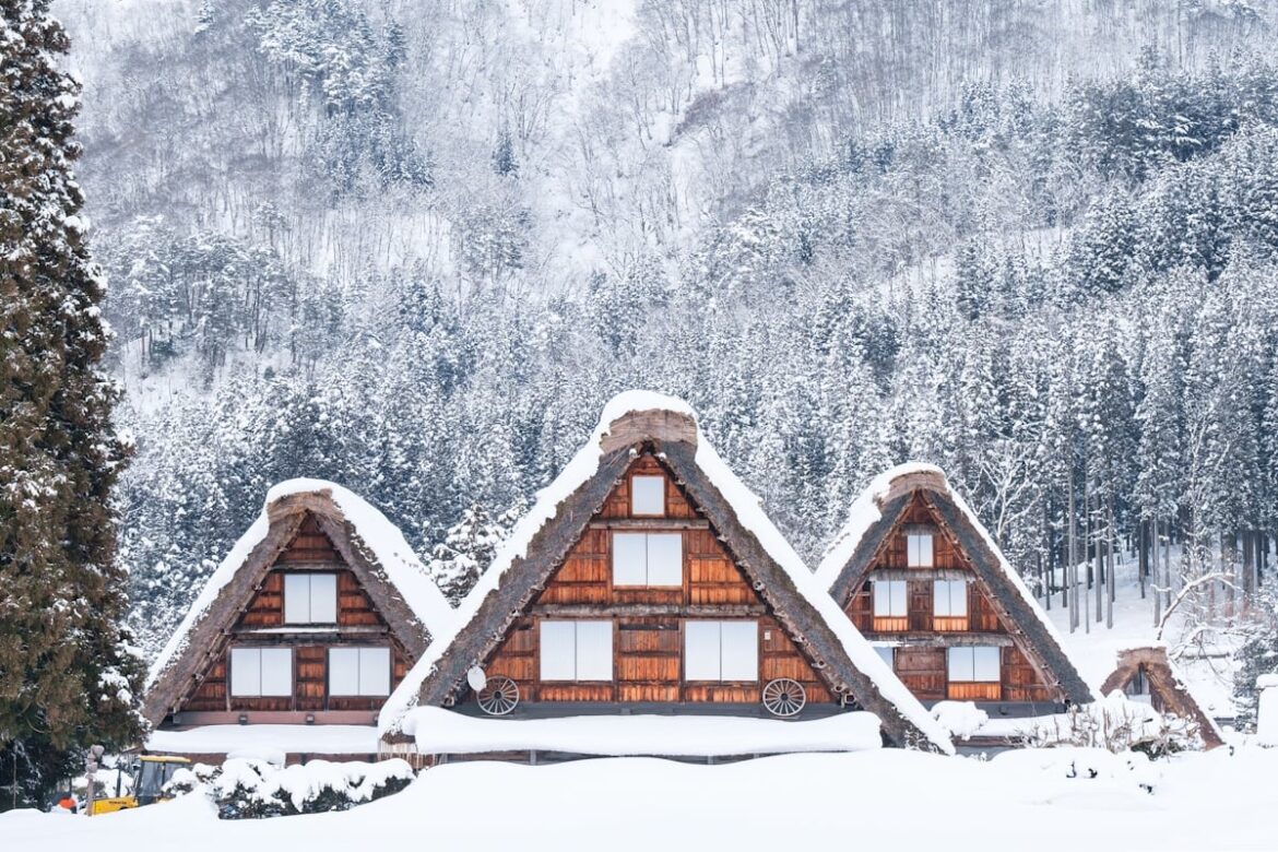 Shirakawagō's diagonal thatched roof houses in winter