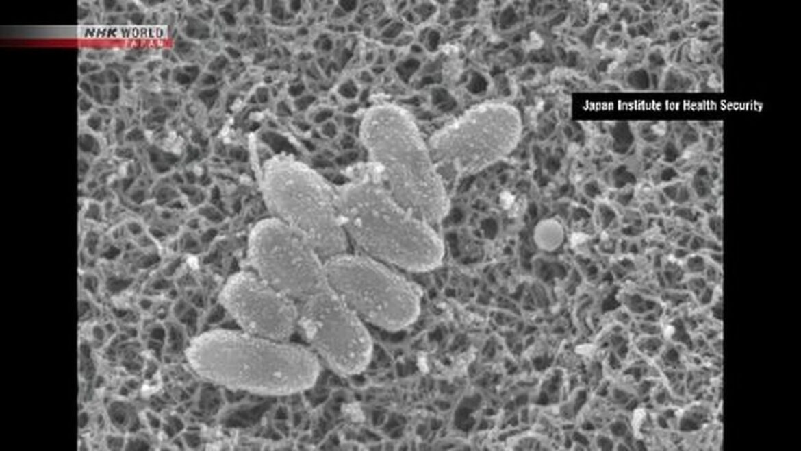 Quiet Quitting Gains Ground Among Japanese Workers Quiet Quitting Gains Ground Among Japanese Workers