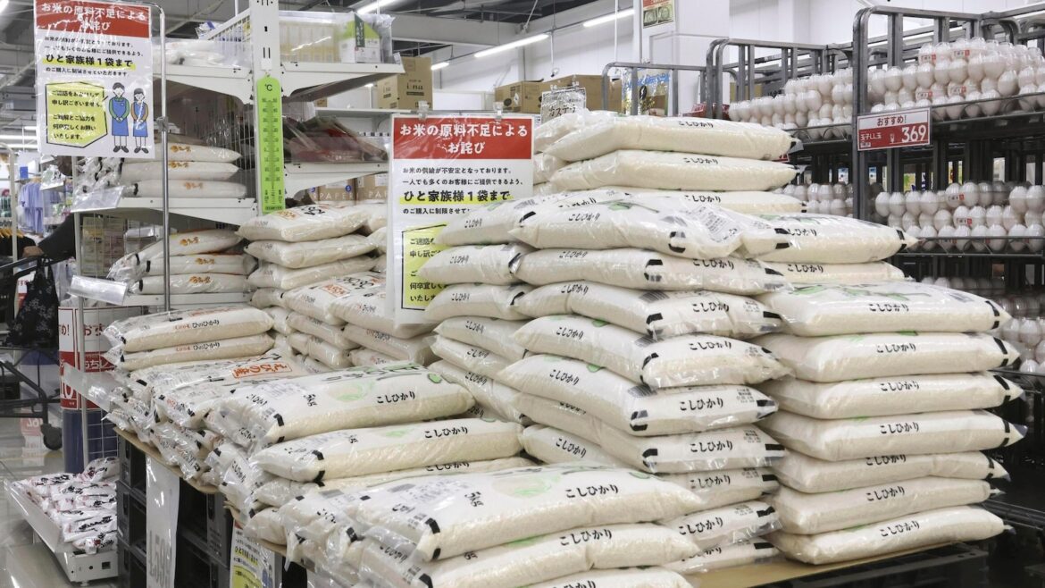 Japan’s agriculture minister resigns after his remark about not buying rice causes political fallout Japan's agriculture minister resigns after his remark about not buying rice causes political fallout