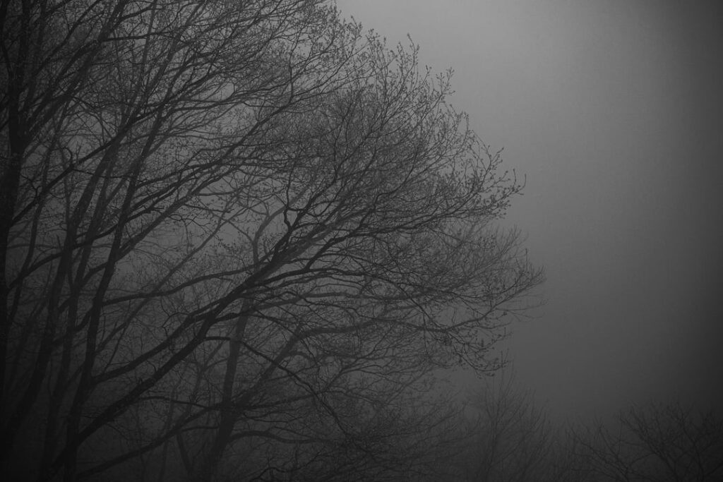 Nikko - I thought I was heading into the film set of a Japanese horror movie