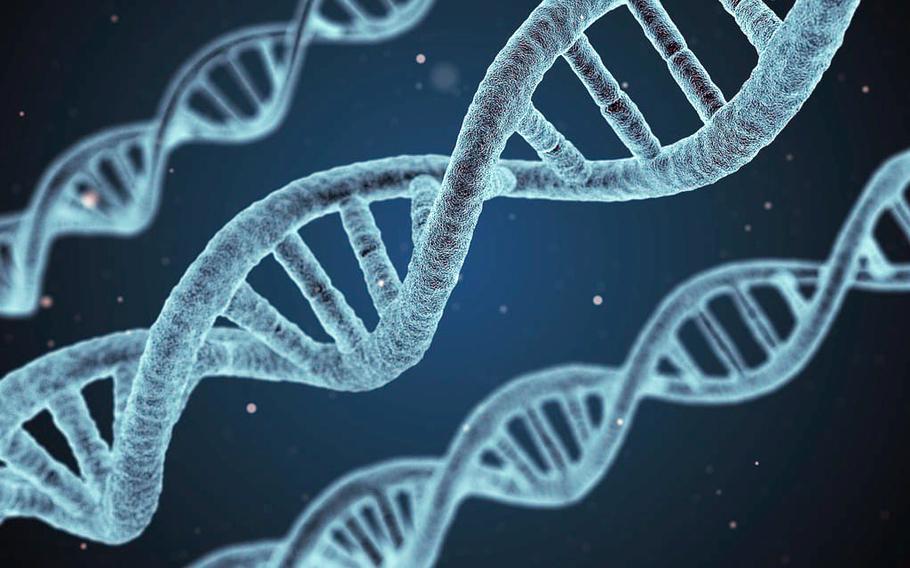 Strands of DNA are seen in this artist’s rendition.