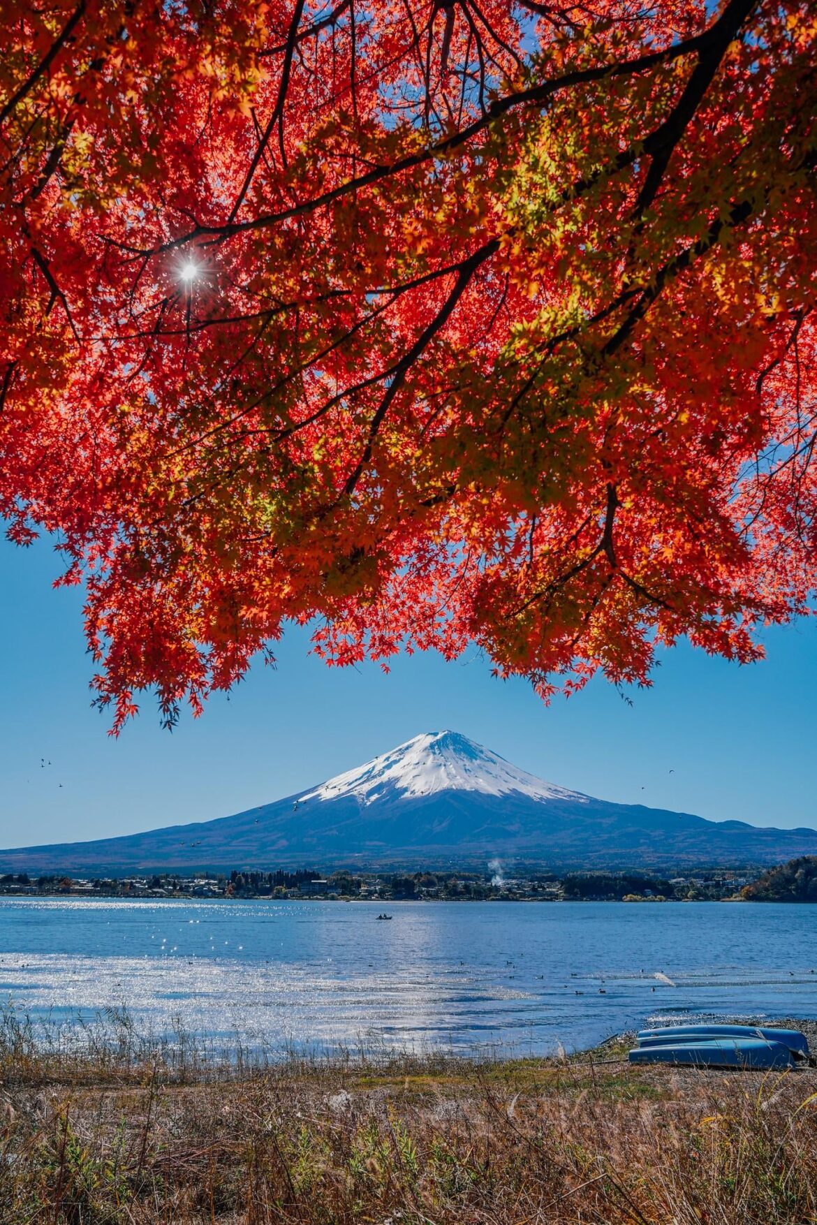 Mount Fuji in Autumn