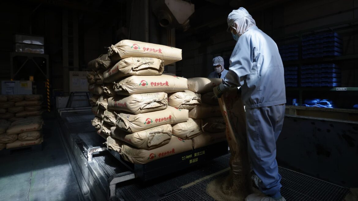 Rice prices more than double in May as Japan core inflation jumps to highest levels since 2023