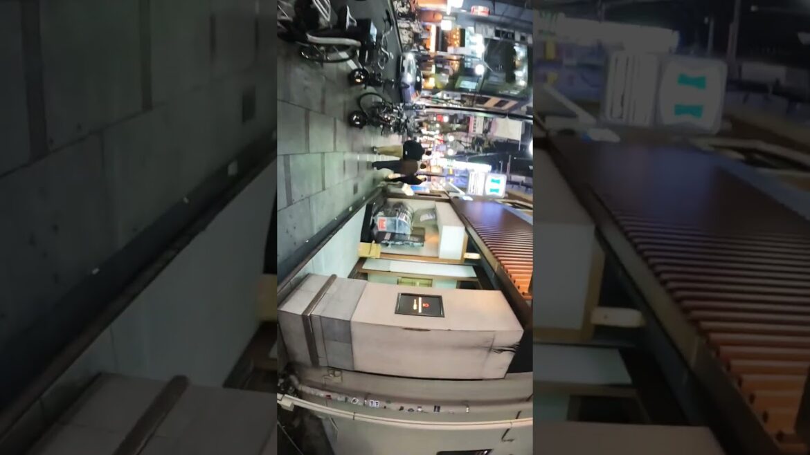 Walk Around Dotonbori #Japan #Osaka #travel