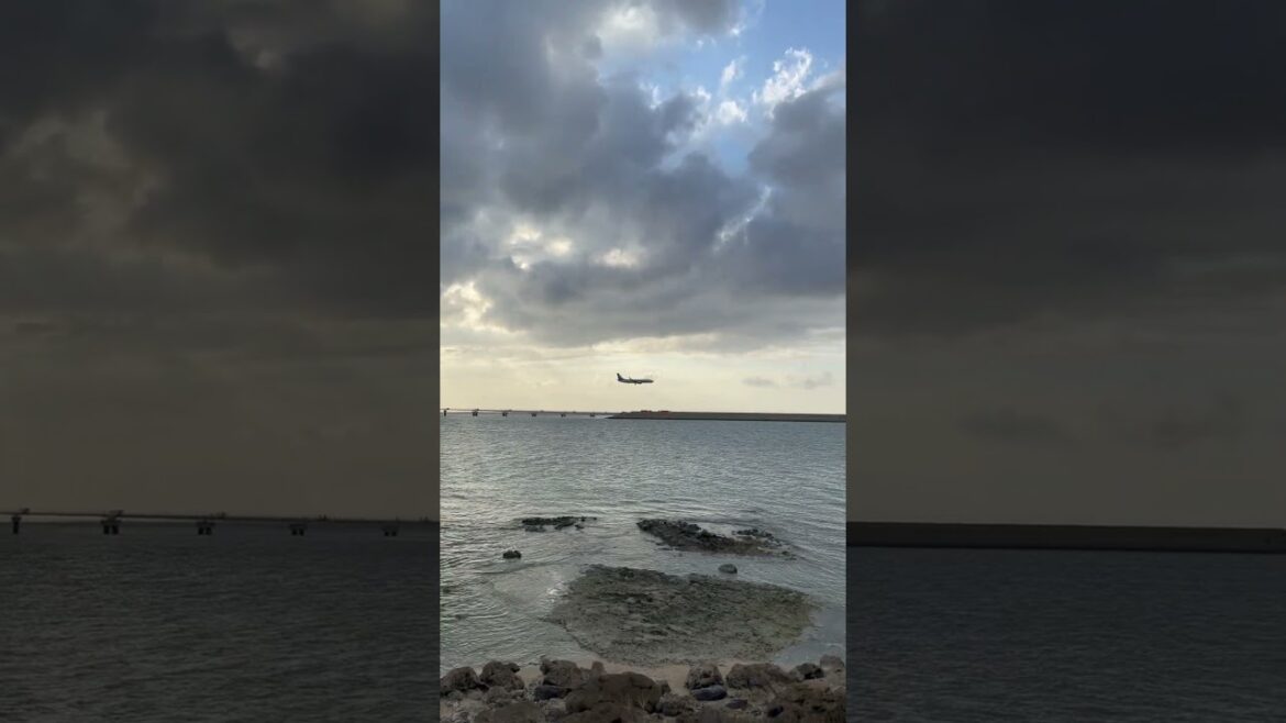 Okinawa naha Airport #naha #okinawa #japan #travel #airport #fun