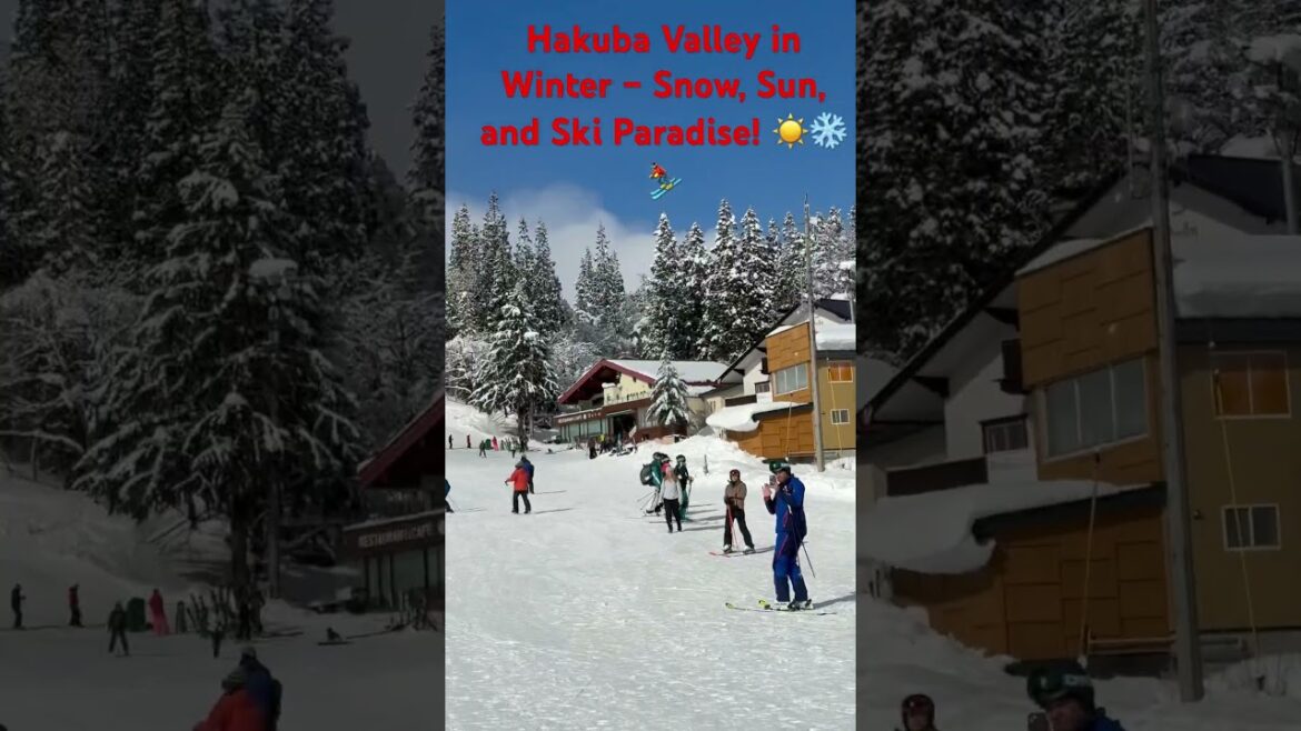 Hakuba Valley in Winter – Snow, Sun, and Ski Paradise! ☀️❄️⛷️ #japansplendor #ilovejapan