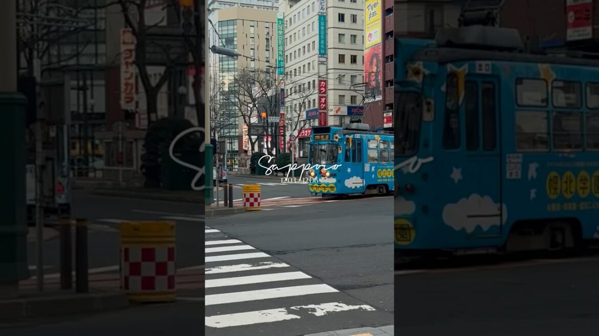 삿포로 12월 여행